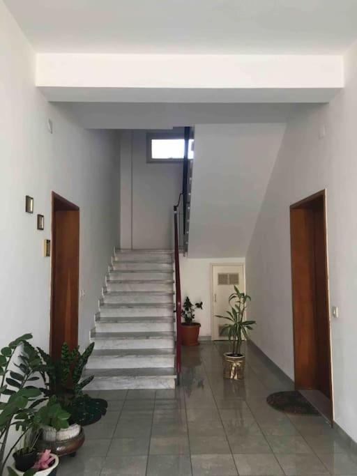 “palazzaccio” Apartment *